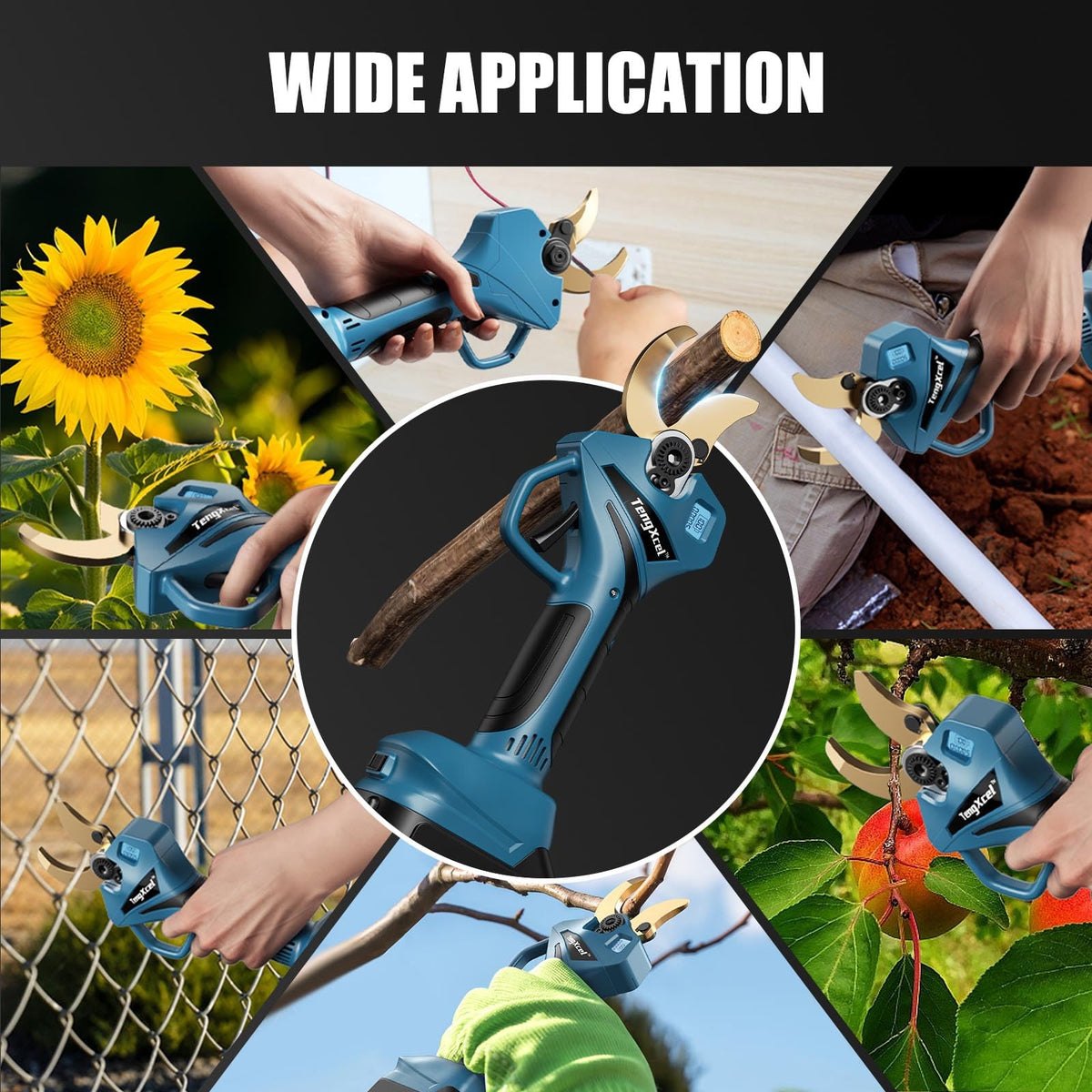 TengXcel pruning kit contents for easy setup and maintenance