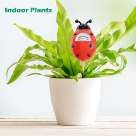 Tennedriv Green moisture probe for plant roots insertion
