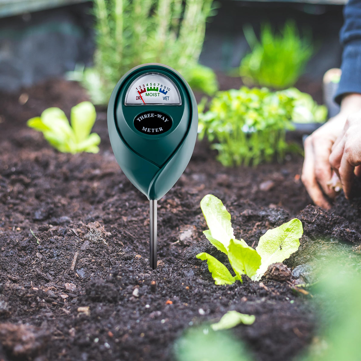 Tennedriv Green houseplant moisture meter displays soil status for healthy pots.