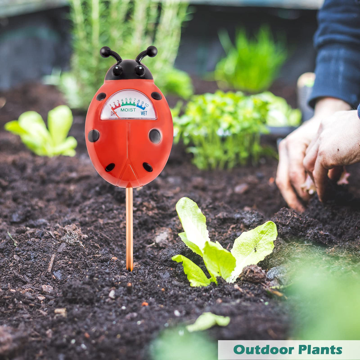 Tennedriv Green indoor plant moisture meter with easy-to-read gauge