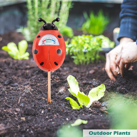 Tennedriv Green indoor plant moisture meter with easy-to-read gauge