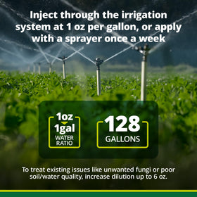 Soil improvement with Teraganix TCM inoculant concentrate promotes root growth.