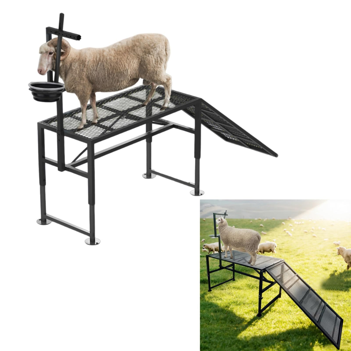 TERCFDSK heavy-duty height-adjustable goat milking stand with ramp for comfortable milking