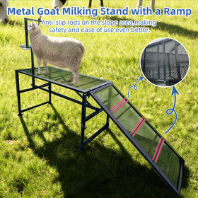TERCFDSK sturdy metal construction supports up to 600 lbs