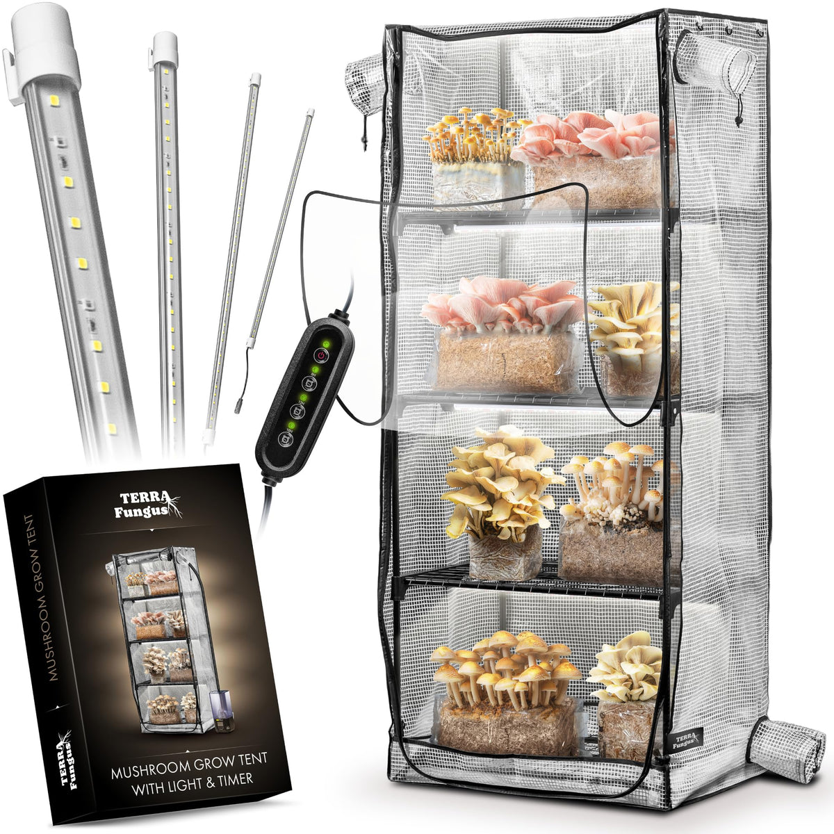 Terra Fungus Martha Tent with 6500K LED light for reliable indoor fruiting
