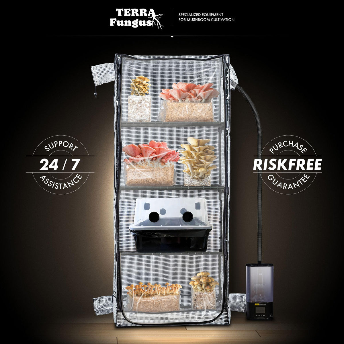 Terra Fungus Martha Tent assembled full view presents complete grow cabinet solution