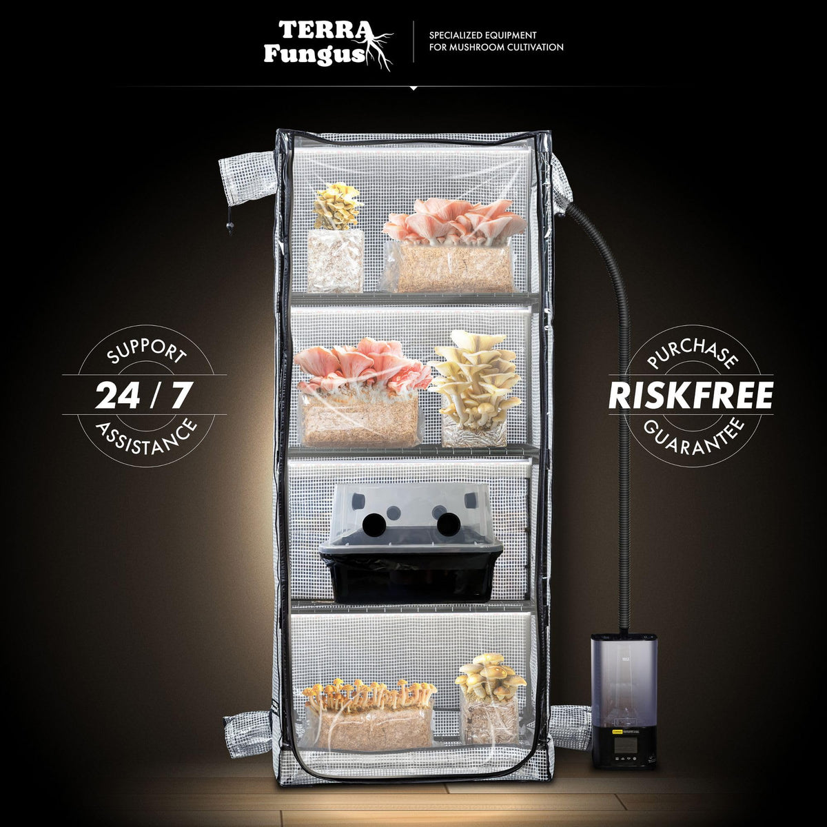 Grow kit includes light, timer, and tray for immediate use
