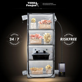 Grow kit includes light, timer, and tray for immediate use