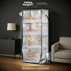 Terra Fungus Martha Tent side view highlighting portable design for home projects