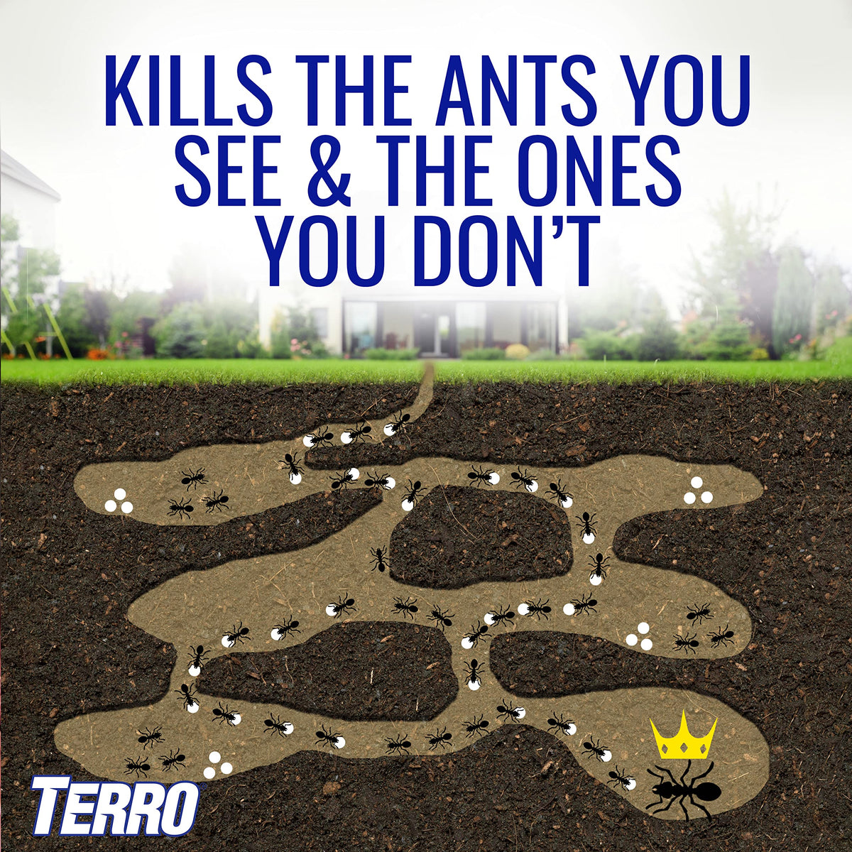 Terro T1812 ants attracted and killed outdoors before entering the home.