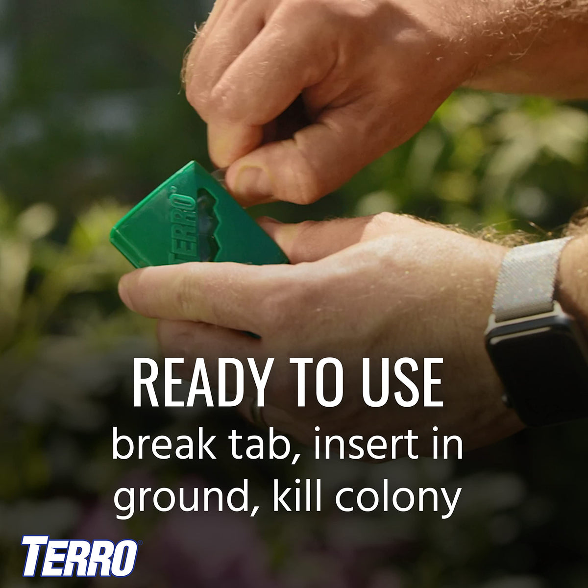 Terro T1812 rapidly reduces visible and hidden ants within days.