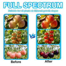 Tesdluy broad coverage angle adjustment targets multiple plants with precision lighting.