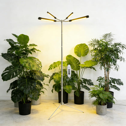 Tesdluy full-spectrum heads illuminate indoor plants with balanced light for thriving foliage.