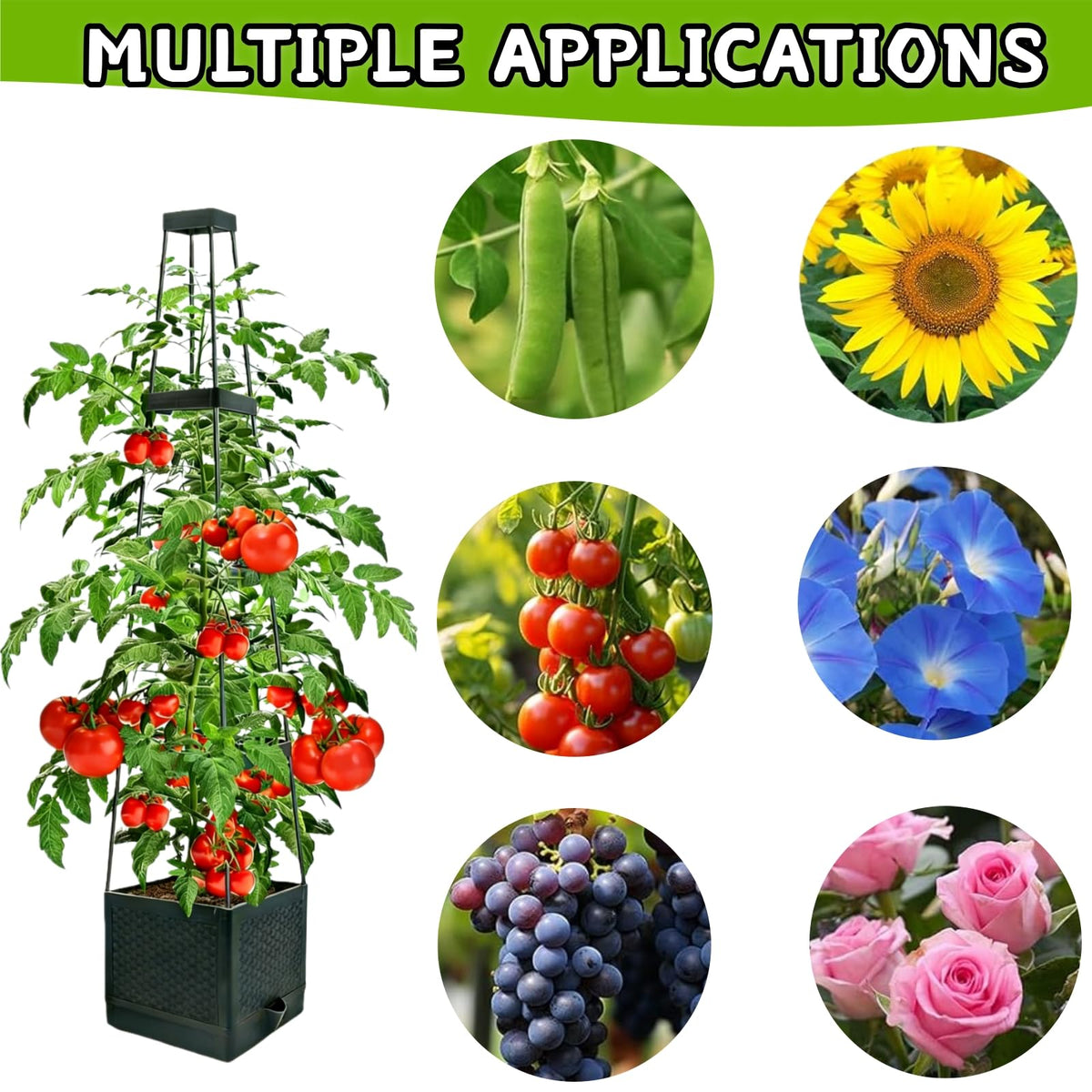 TESSTSY height-adjustable trellis supports climbing vines as plants grow