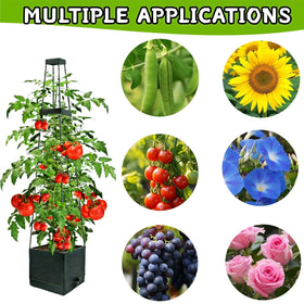 TESSTSY height-adjustable trellis supports climbing vines as plants grow
