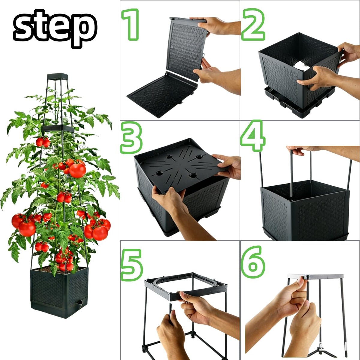 TESSTSY indoor balcony-ready system supports year-round climbing plants
