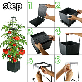 TESSTSY indoor balcony-ready system supports year-round climbing plants