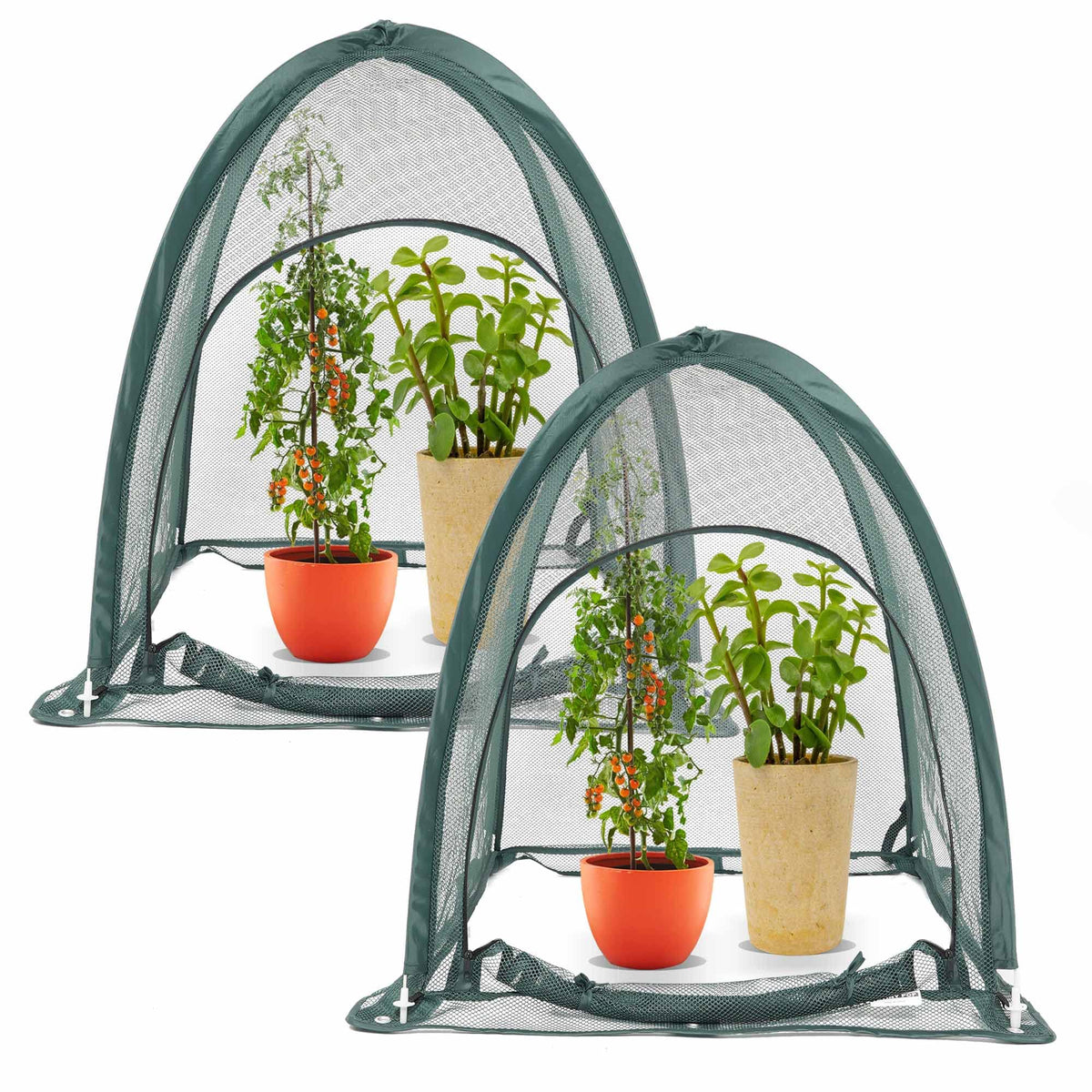 TETINY POP garden netting setup view protects crops from pests while letting sun through.