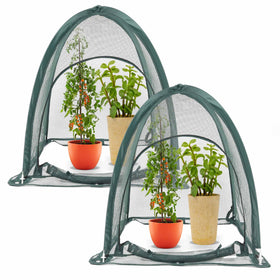 TETINY POP garden netting setup view protects crops from pests while letting sun through.