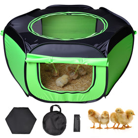 Tetuga chicken brooder box with three-sided mesh window for safe ventilation.