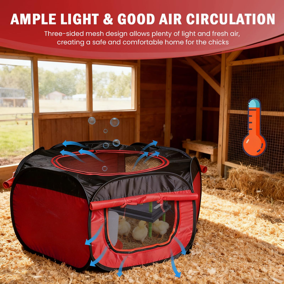 Tetuga chicken waterer ensures clean hydration for day-old chicks