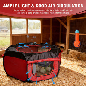 Tetuga chicken waterer ensures clean hydration for day-old chicks