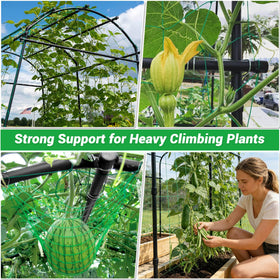 Tetutor arch trellis keeps vegetables and fruits off the ground.