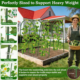 Tetutor climbing-plants vertical-growth support helps vines reach light efficiently.