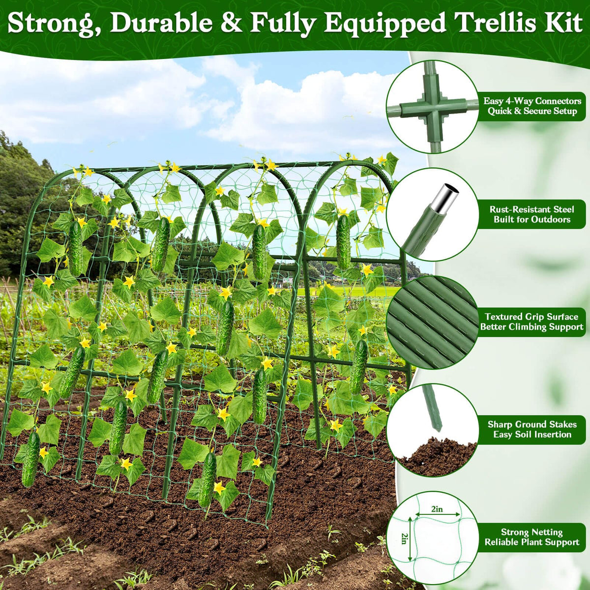 Tetutor garden arch trellis during assembly shows easy setup for raised beds.