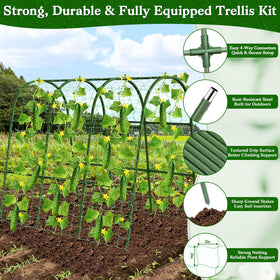 Tetutor garden arch trellis during assembly shows easy setup for raised beds.