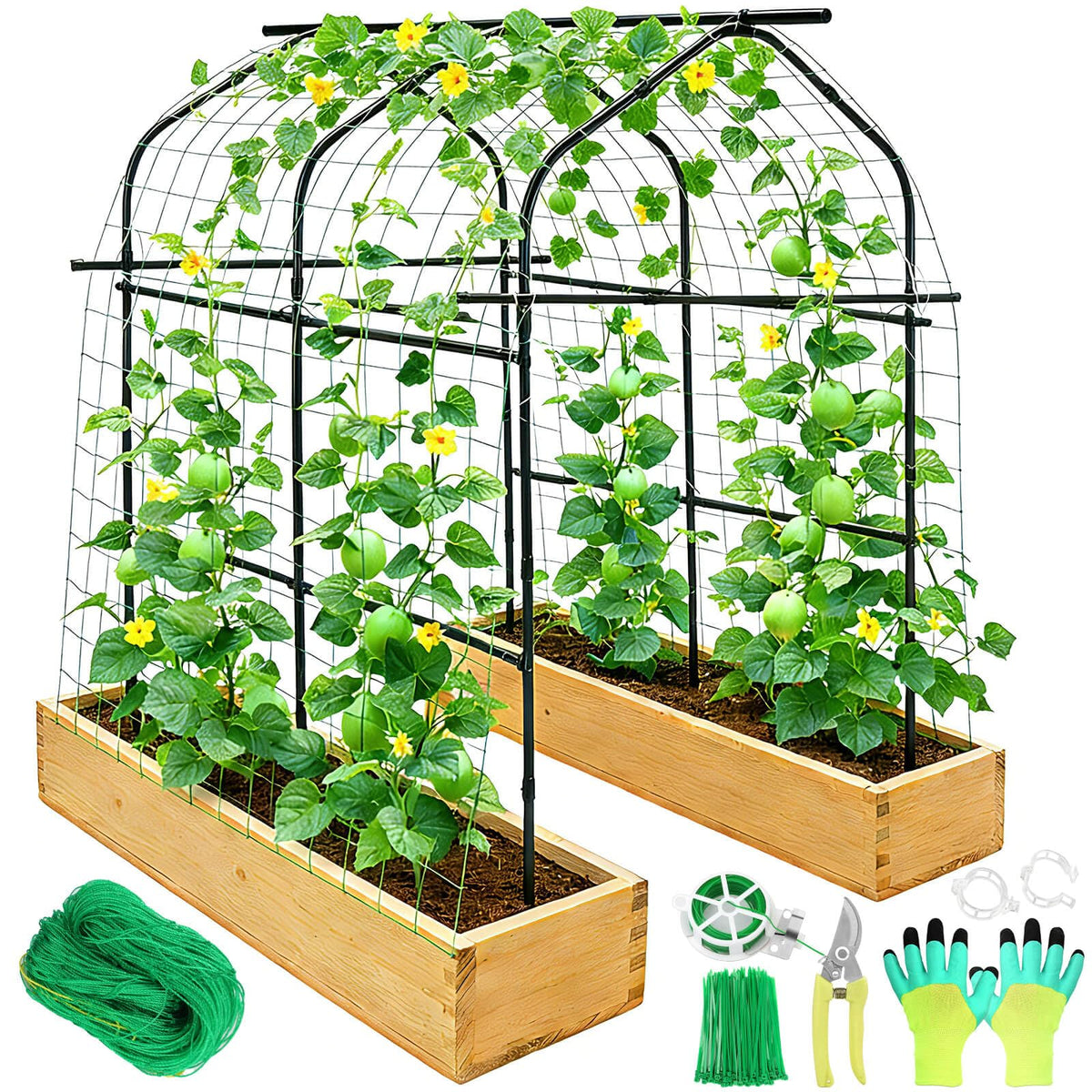 Tetutor tall garden arch trellis walk-through supports climbing plants with spacious coverage.