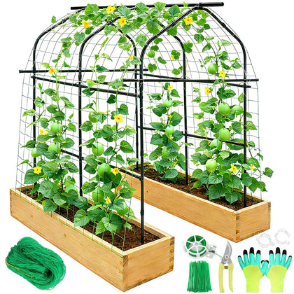 Tetutor tall garden arch trellis walk-through supports climbing plants with spacious coverage.