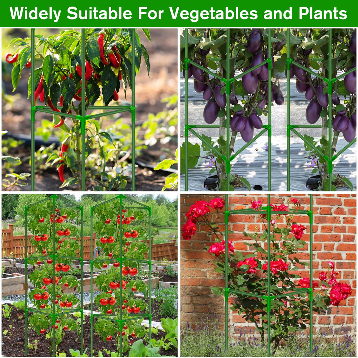 Versatile trellis for pots and beds in any garden