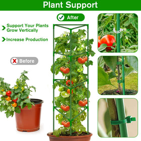 Stable plant cages prevent collapse and promote upward growth