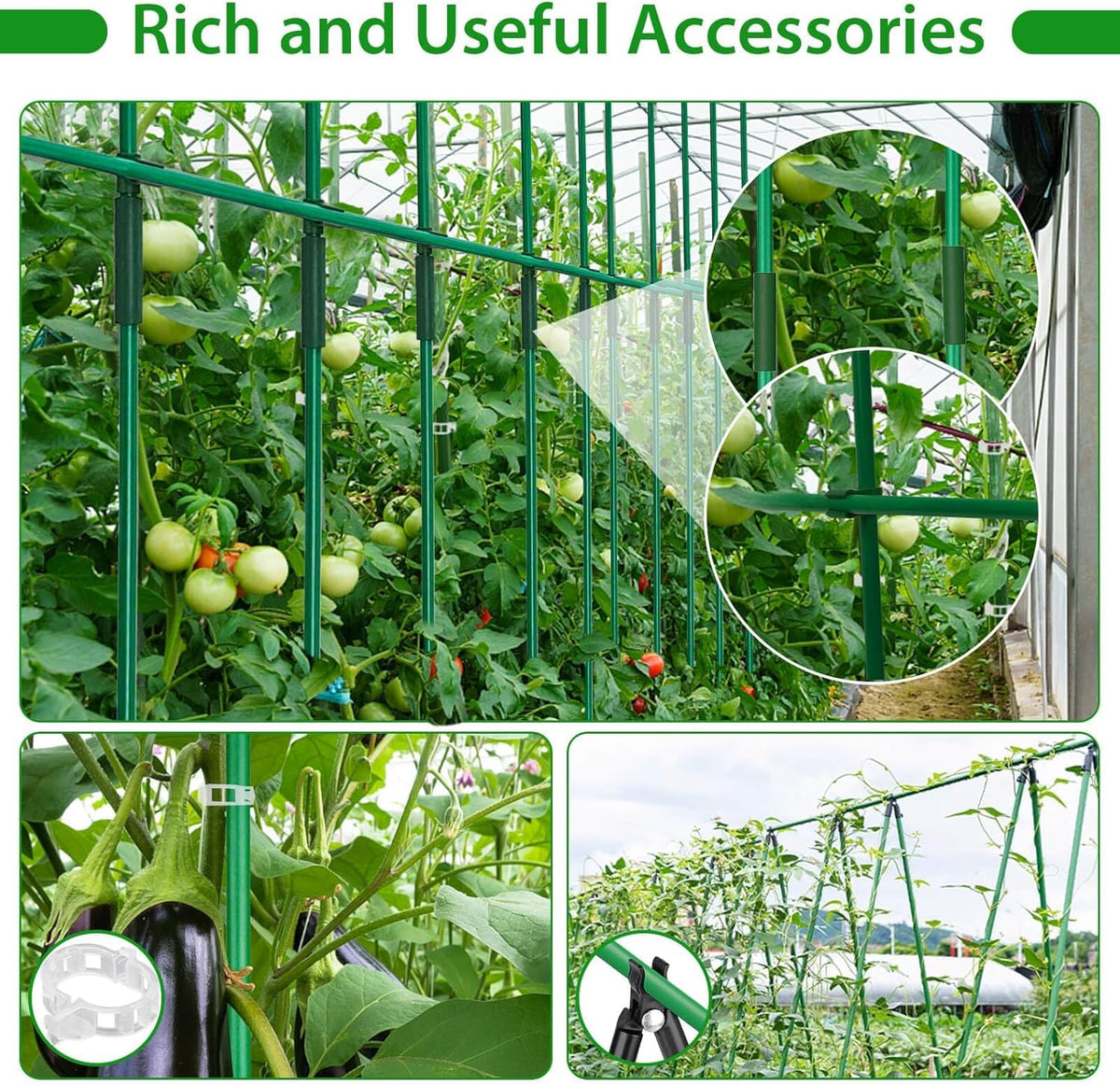 Tetutor tomato stakes in the garden illustrate adjustable height for growth
