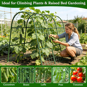 Tetutor trellis value package includes all components for versatile garden layouts.