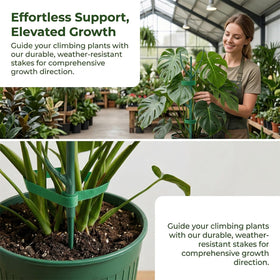 Teurabied complete stake kit for versatile plant support