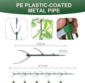 Teurabied green plant stake surface blends with leaves
