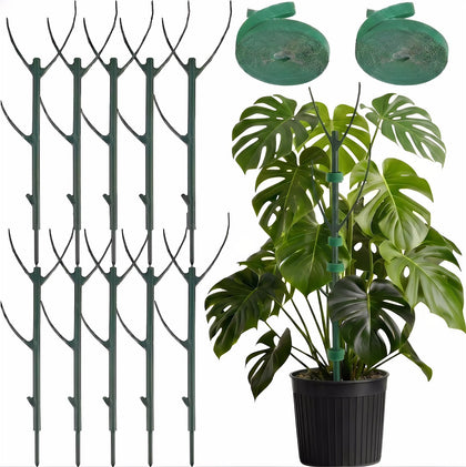 Teurabied Monstera stackable stake 11in supports tall vines
