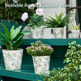 Teweiqi planter gift-ready packaging suitable as a present