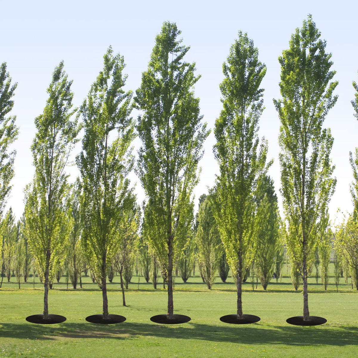 Tezhile durable weed barrier supports long-lasting landscaping and weed control.