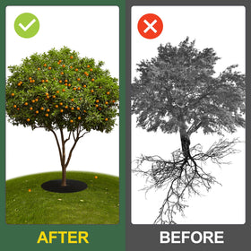 Tezhile garden mulch ring enhances aesthetics while protecting soil around trees.