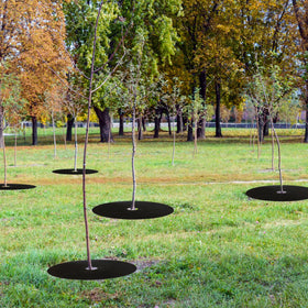 Tezhile heavy-duty weed barrier fabric stays durable and breathable for long-lasting use