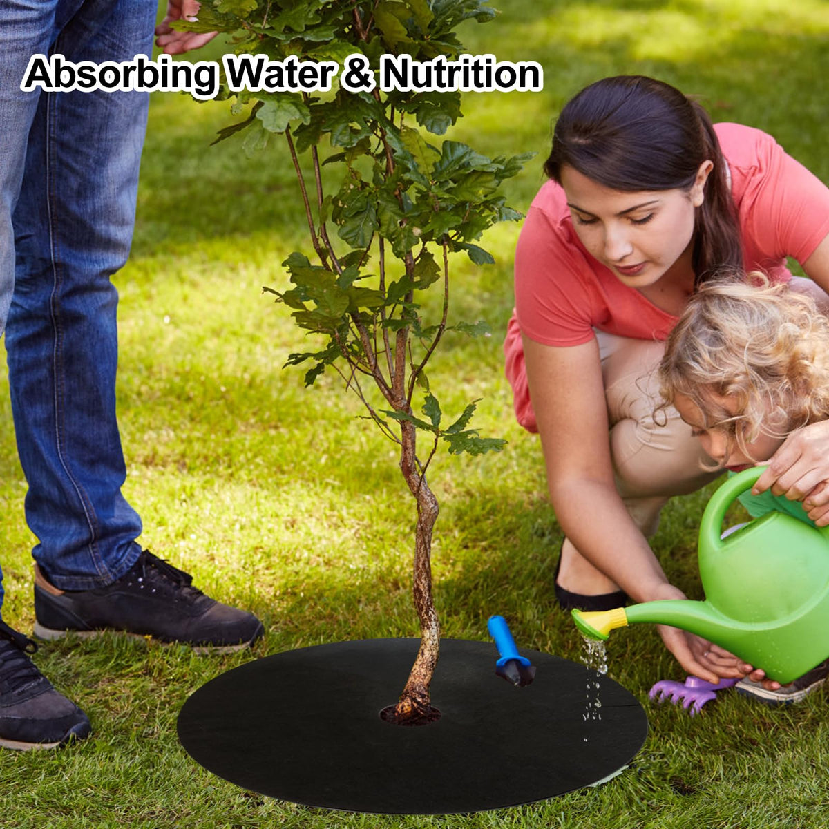 Tezhile mulch ring placement demonstrates easy setup around tree roots