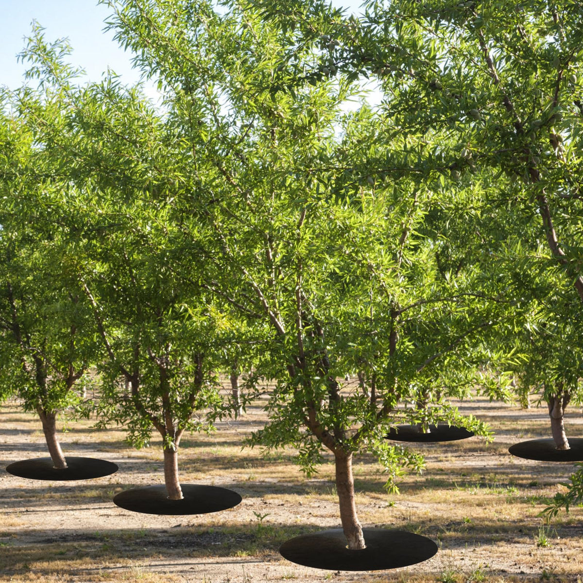 Tezhile pre-cut hole design allows immediate placement around existing tree trunks.