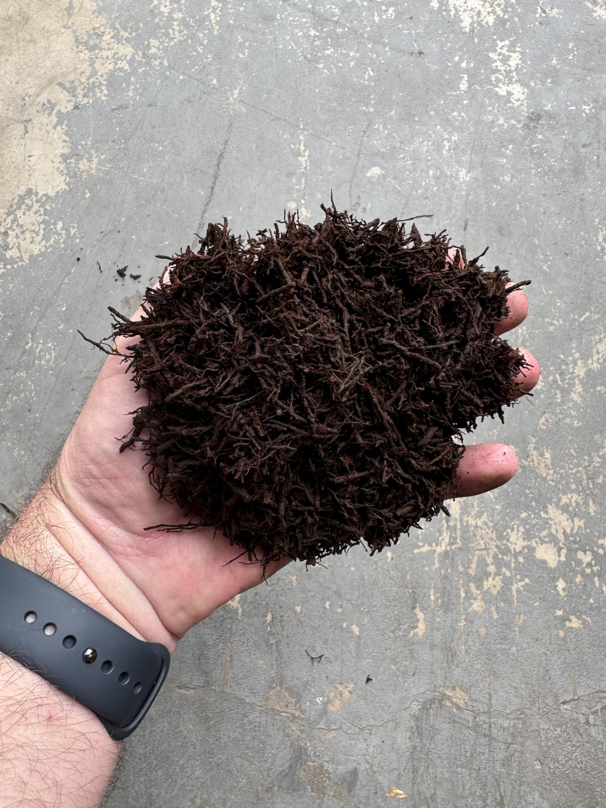 Tezula Plants orchids-friendly tree fern substrate supports robust root spread and steady moisture balance.