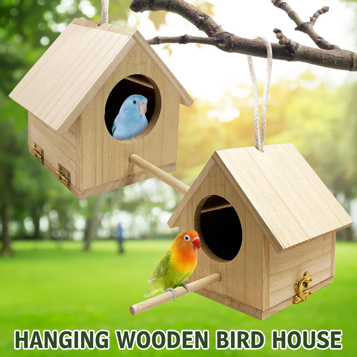 Tfwadmx decorative bird nest detail shows natural wood finish.
