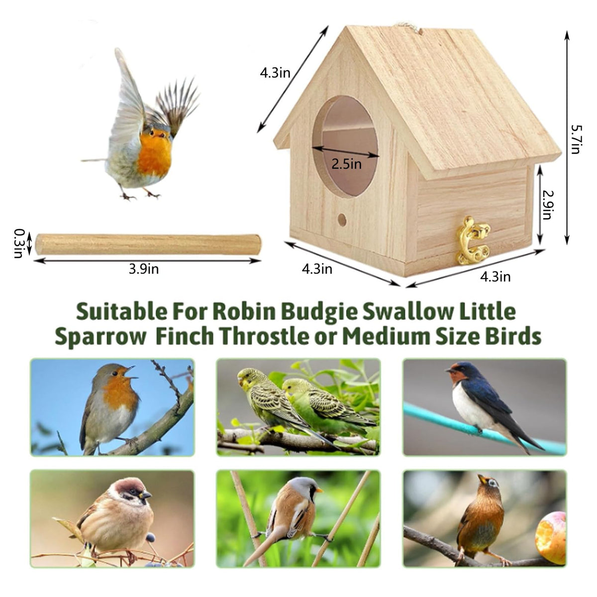 Tfwadmx hanging birdhouse with loop for easy outdoor installation.