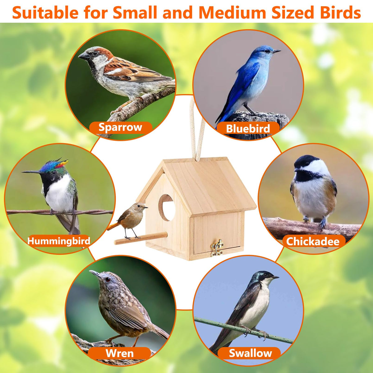 Tfwadmx wooden bird house diy craft project invites decorating