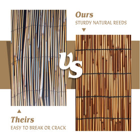 Tgzwme outdoor privacy screen reed roll for gardens and balconies